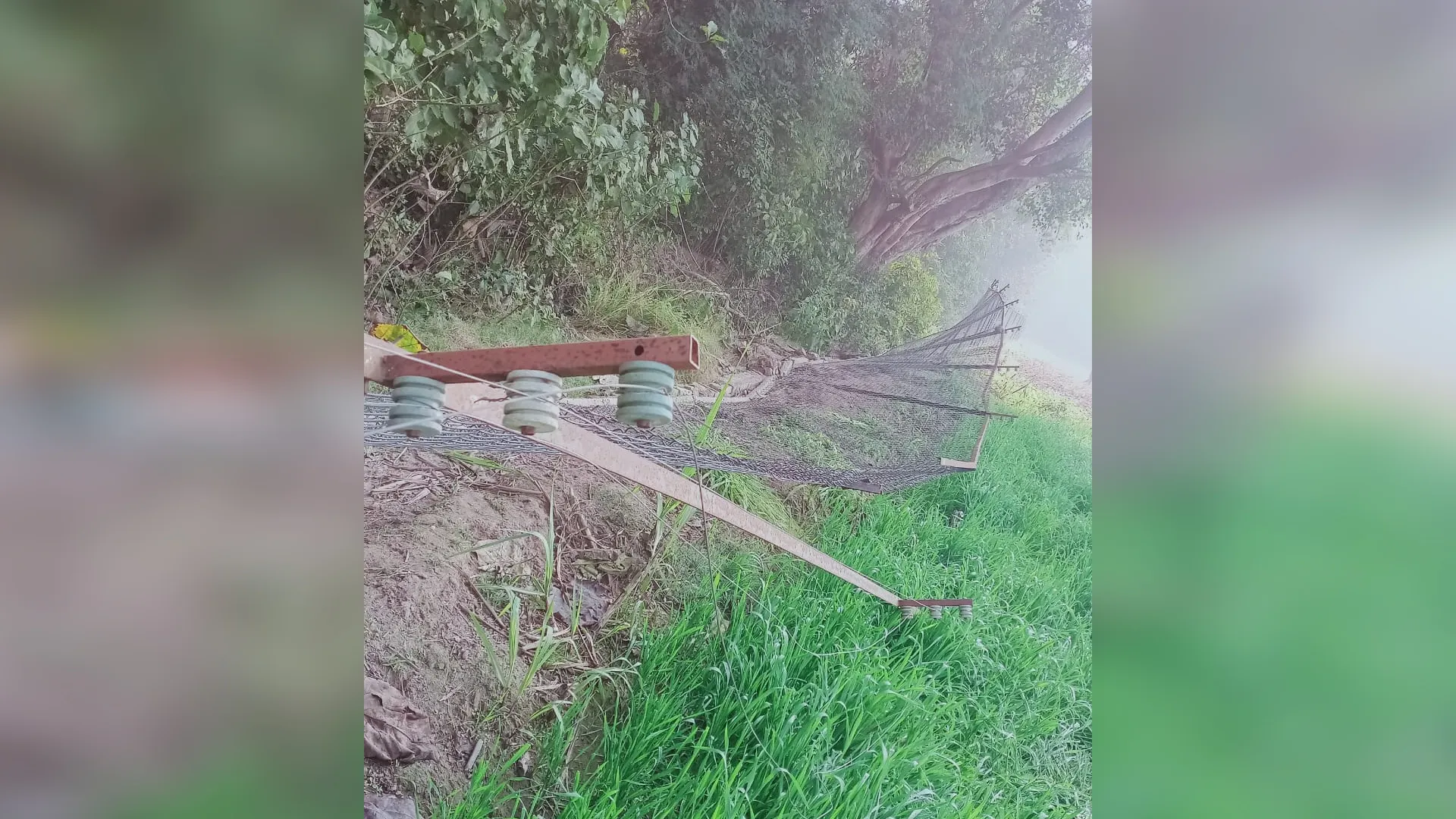 पीलीभीत: नेपाली हाथियों ने मचाया उत्पात, जंगल सीमा पर लगी जाल फेसिंग तोड़ी