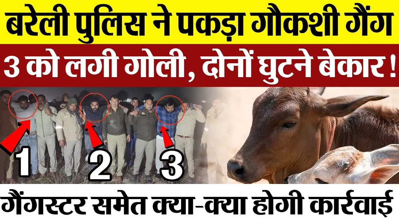 Bareilly News | बरेली पुलिस ने तीन गौकशों को पकड़ा। मुठभेड़ में गोली लगने से तीनों घायल।