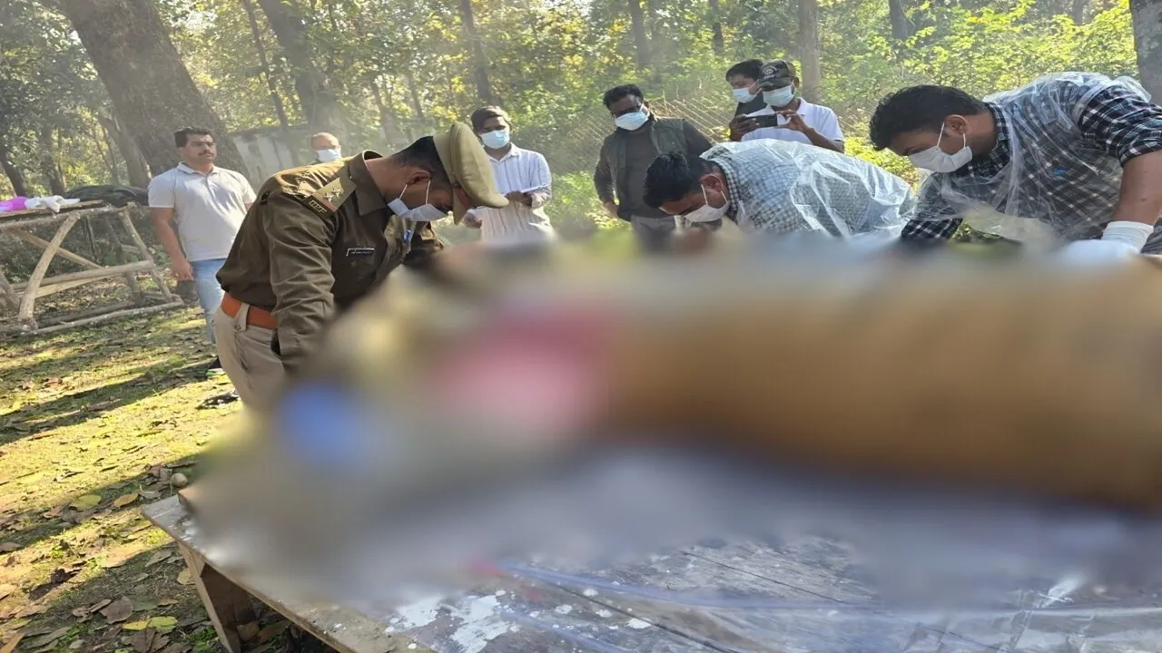 बहराइच: गेरूआ नदी में मिला बाघ का शव, इलाके में सनसनी, विसरा जांच के लिए भेजा गया बरेली