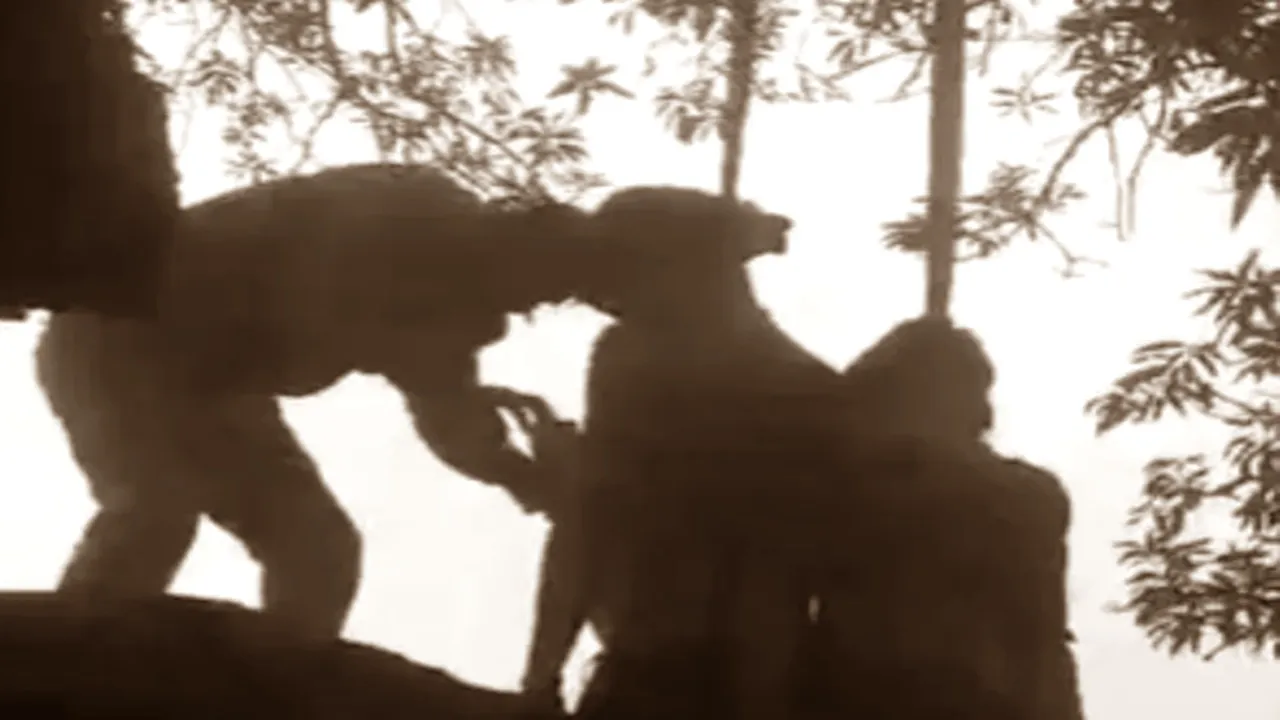 पेड़ से लटकता मिला प्रेमी-प्रेमिका का शव, अनोखी थी दोनों की लव स्टोरी, 12 दिन पहले हुई थी युवती की शादी, जानें पूरा मामला