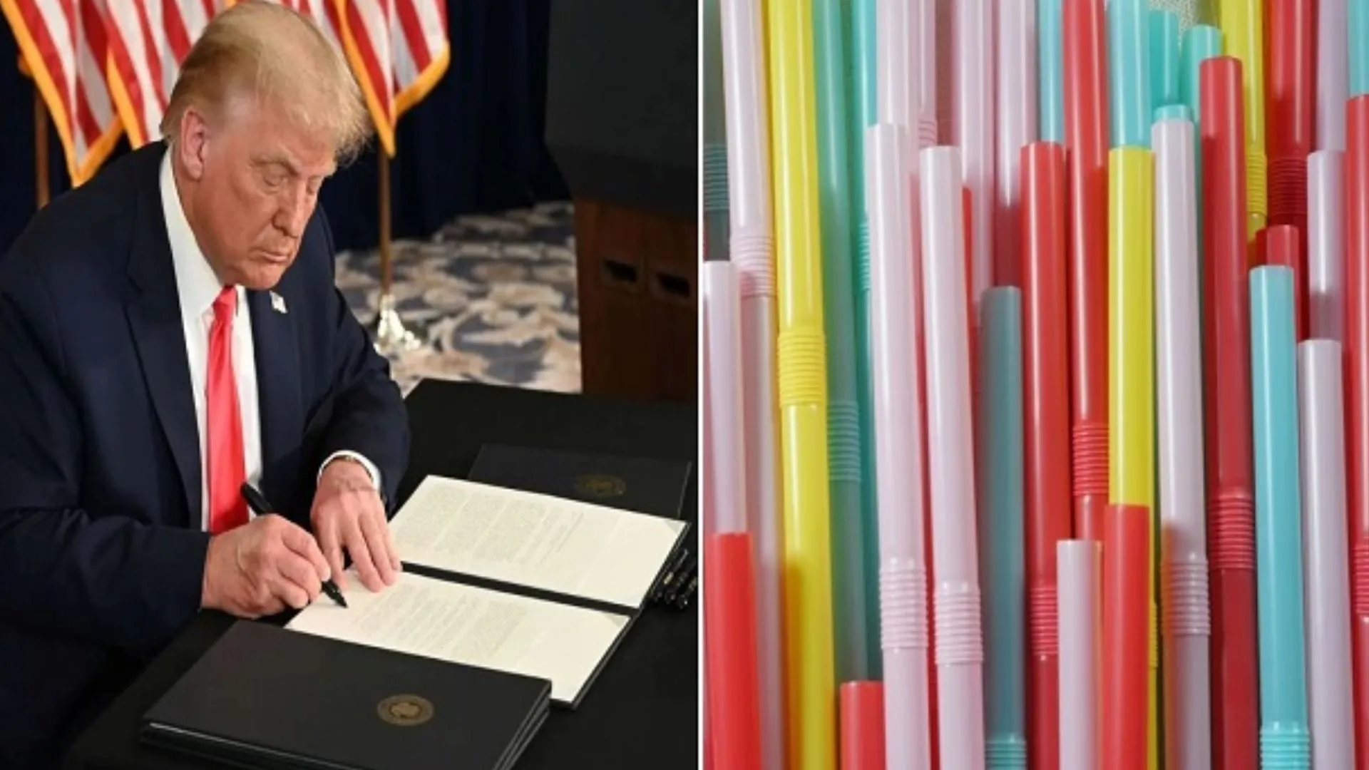 Donald Trump ने कागज के स्ट्रॉ पर लगाया प्रतिबंध, प्लास्टिक के स्ट्रॉ के इस्तेमाल पर दिया जोर...आदेश पर किए दस्तखत