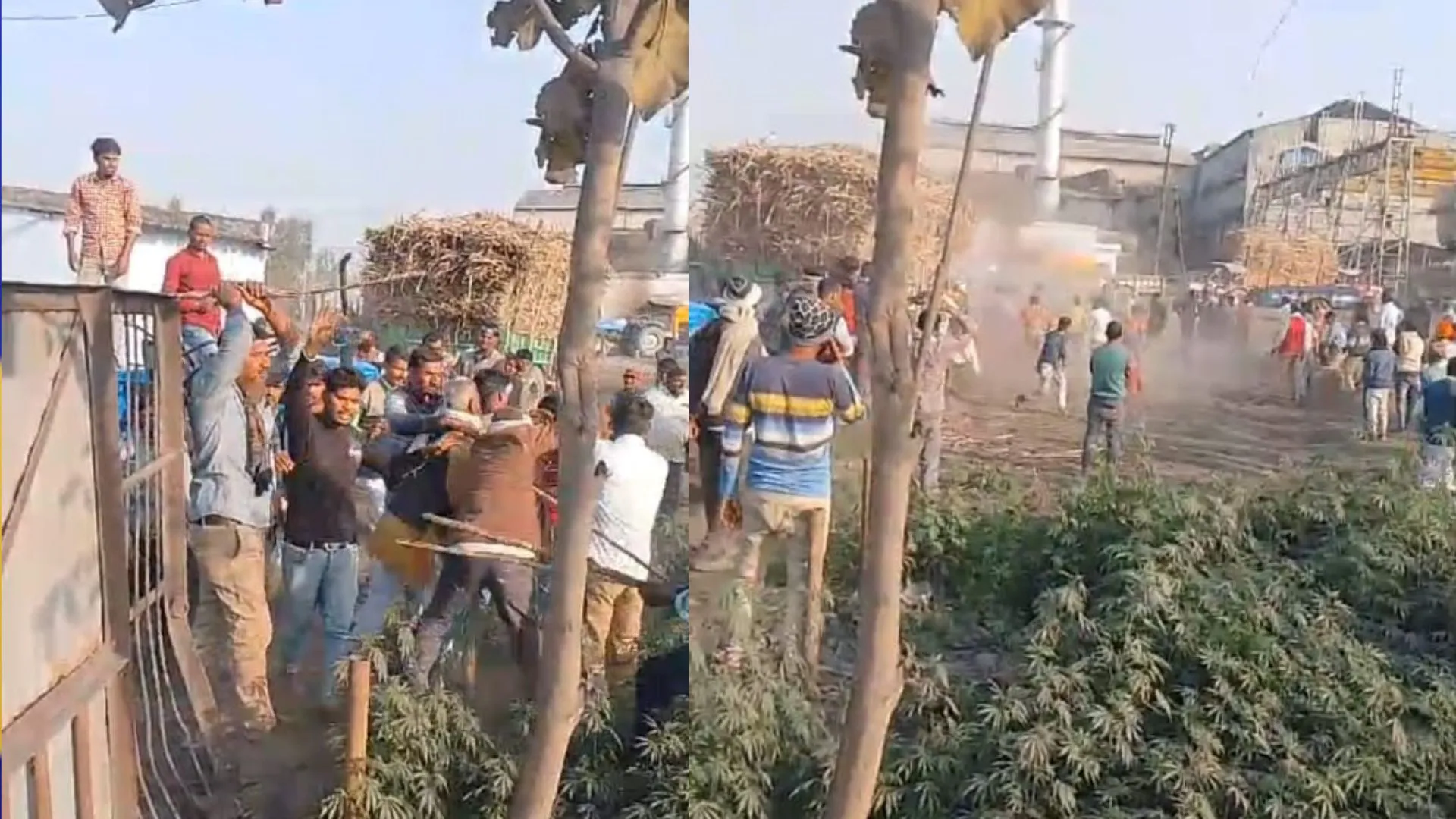 बहराइच: चीनी मिल में ट्रैक्टर पहले ले जाने को लेकर मारपीट, जमकर चले लाठी-डंडे...VIDEO वायरल  