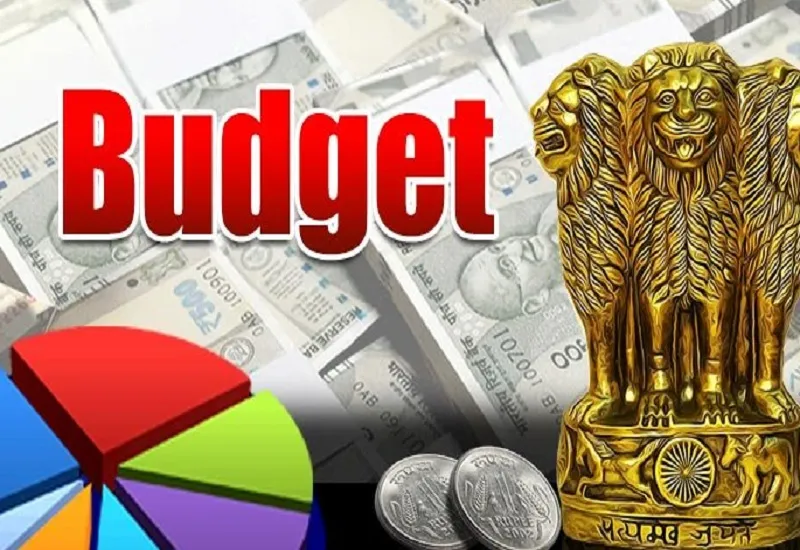 मुरादाबाद : बजट से किसान निराश, बोले- किसानों को कर्जदार बना कर जमीन हड़पना चाहती है सरकार