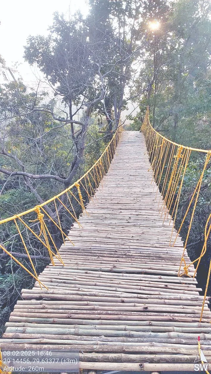 वृक्षवासी जीवों को सड़क हादसों से बचाएगा ईको ब्रिज