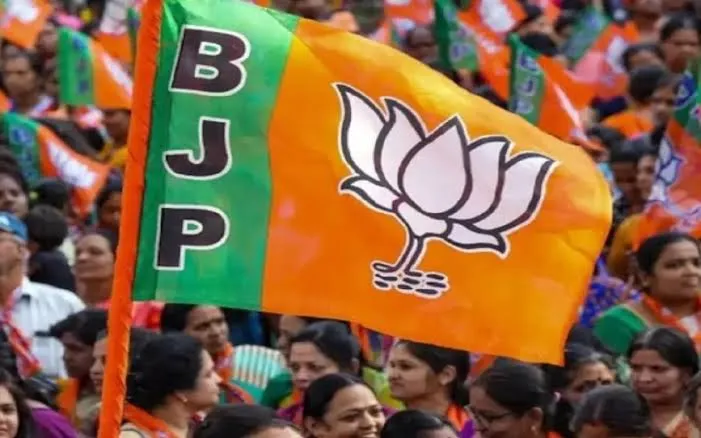 भाजपा ने घोषित किए मंडल अध्यक्ष, ये है 2025 के नए नामों की सूची 