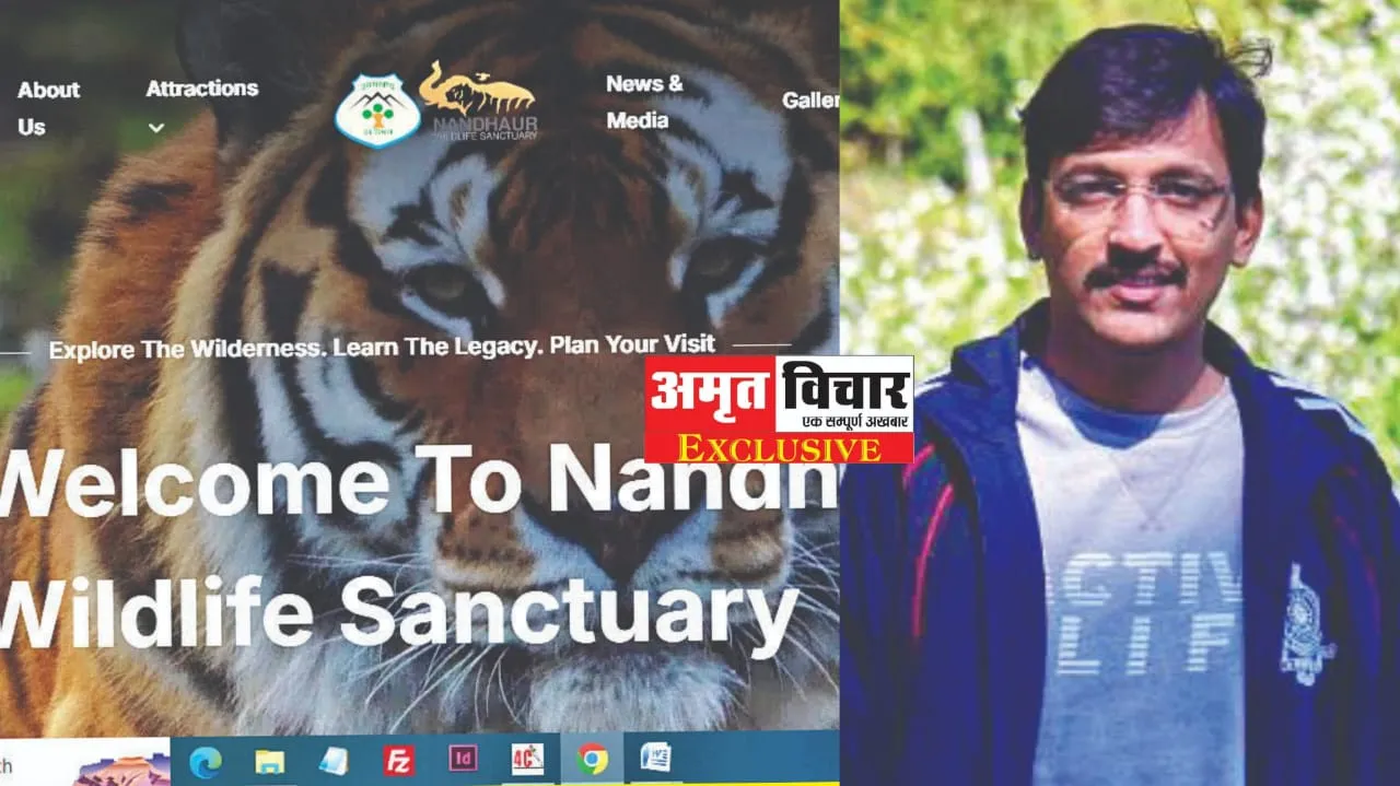 पर्यटक वन विश्राम गृह और सफारी की कर सकेंगे ऑनलाइन बुकिंग, ये है कॉर्बेट की वेबसाइट