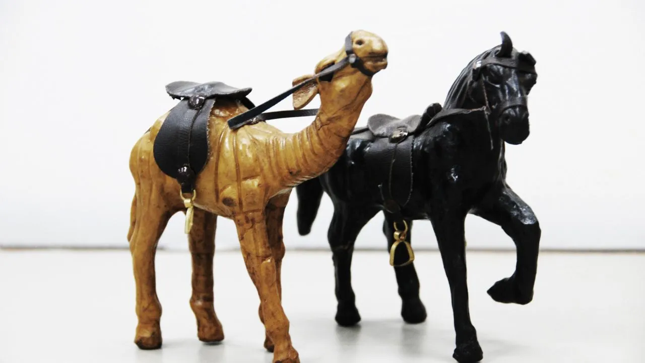 अमेरिकी राष्ट्रपति डोनाल्ड ट्रंप के इस कदम को Kanpur के कारोबारी मान रहे बड़ा मौका...50 फीसदी बढ़ सकता निर्यात