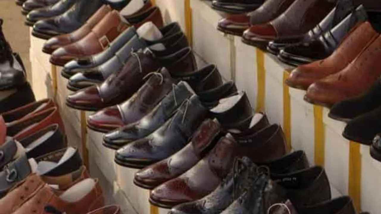 Kanpur: मेगा क्लस्टर के पास लेदर फुटवियर पार्क को हरी झंडी; चमड़े से जुड़े उत्पादों को मिलेगी आधुनिक तकनीक...गुणवत्ता की उड़ान