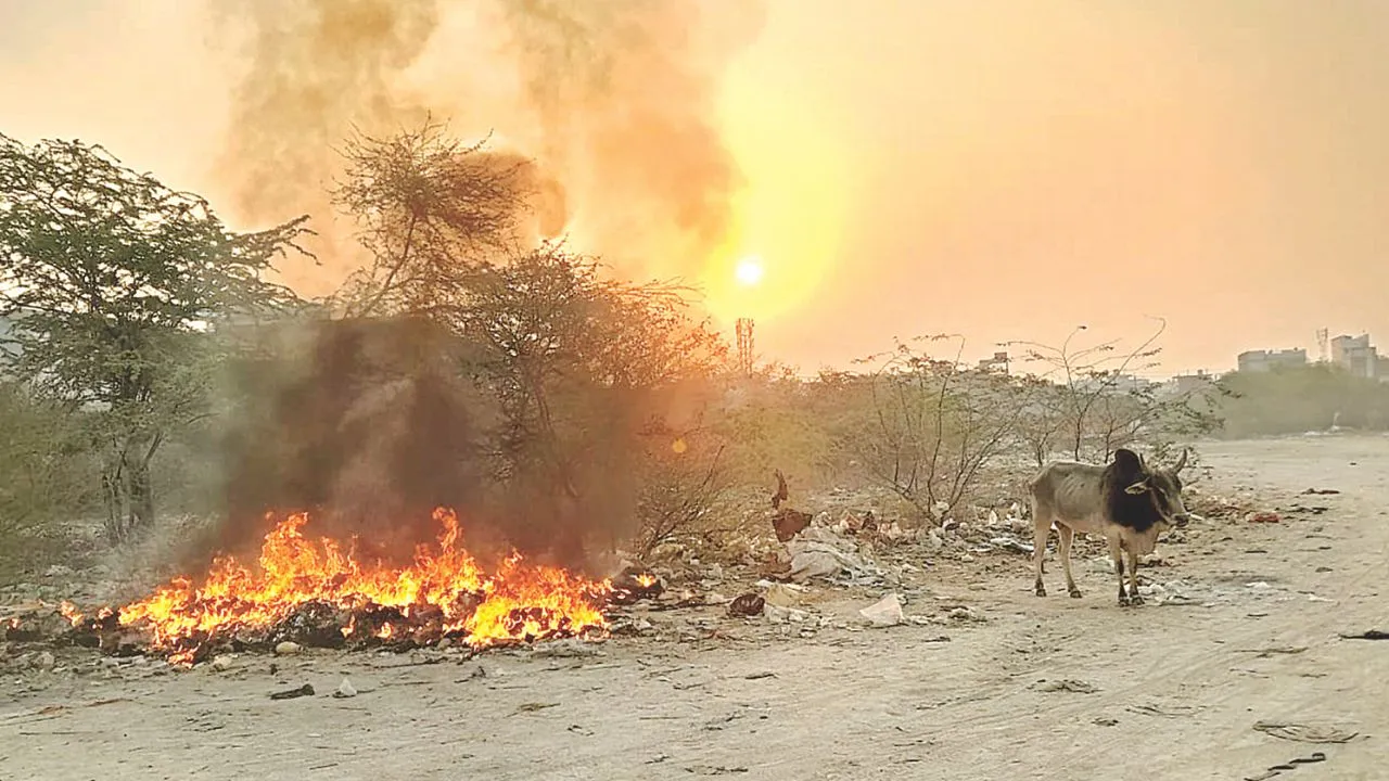 कानपुर में लाइव लोकेशन से गाड़ियां गायब, नहीं उठ रहा कूड़ा: सड़कों पर जलाया जा रहा, CM पोर्टल पर की गई शिकायत