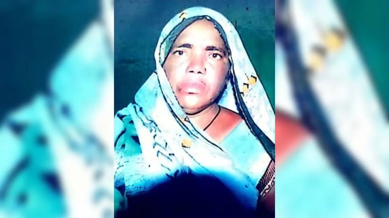 उन्नाव में जंगली सुअर के हमले से महिला की मौत: फसल की रखवाली करते समय किया हमला...12 से अधिक चोटों के मिले निशान