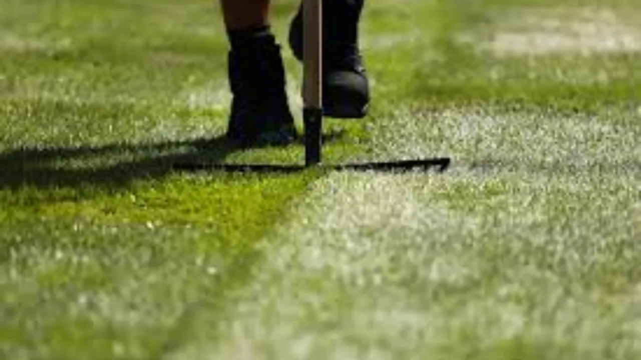 Springboks Golf Tournament: स्प्रिंगबॉक्स गोल्फ में जोहेब सिद्दीकी बने विजेता