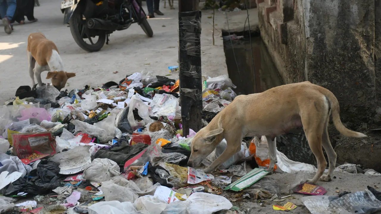 जगह-जगह लगे कूड़े के ढ़ेर, विवाद के बीच पांच जोन में सफाई का बुरा हाल