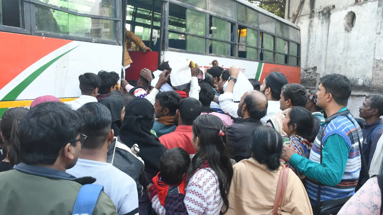 Untitled design (15)