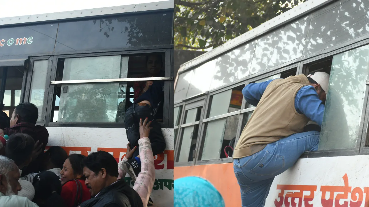 Untitled design (16)