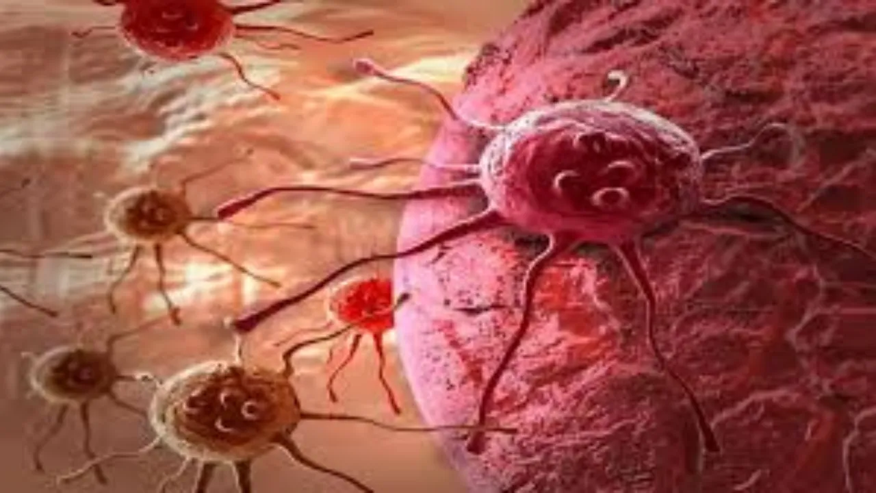 World Cancer Day: दृढ़ निश्चय के आगे हारी बीमारी, इन्होंने दी कैंसर को मात