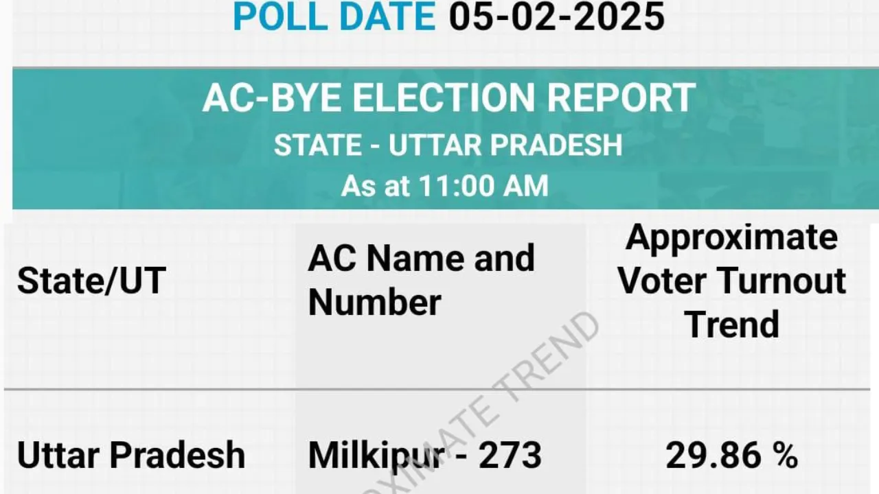 Untitled design (38)