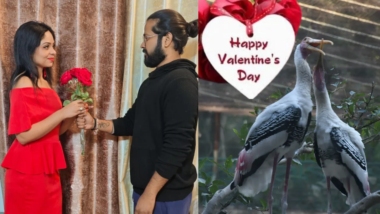 Valentine Day पर किसी ने खुलकर तो किसी ने छिपकर किया मोहब्बत का इजहार
