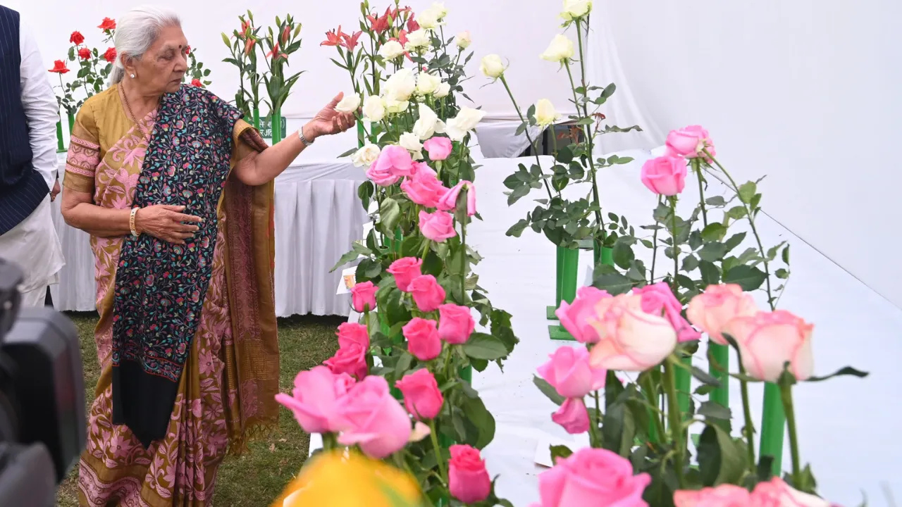 Untitled design (68)