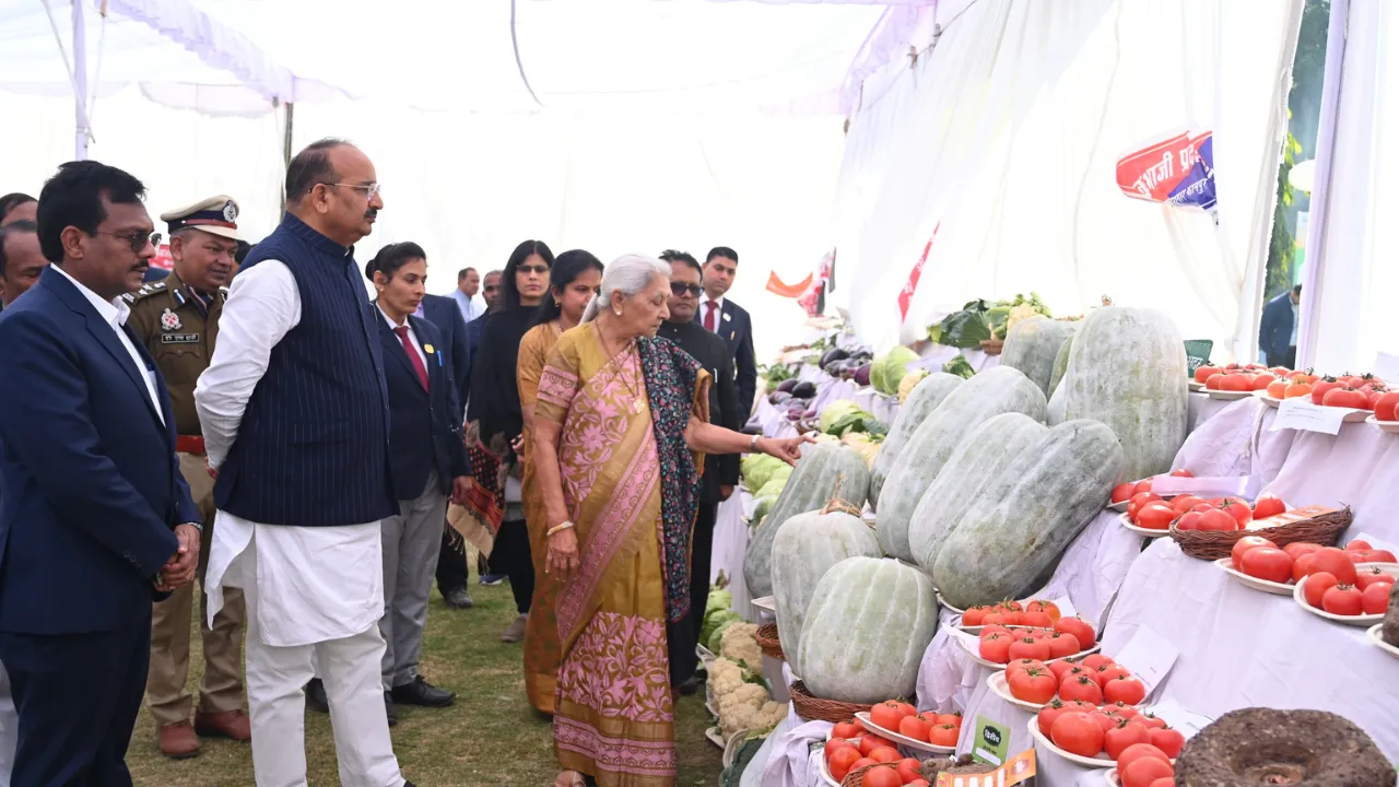 Untitled design (69)