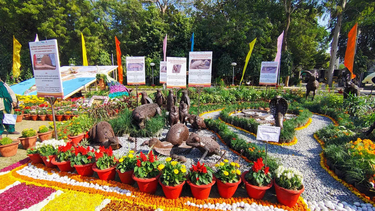 Lucknow Flower Show 2025: गुनगुनी धूप के बीच फूलों से बनी आकृतियों ने लुभाया