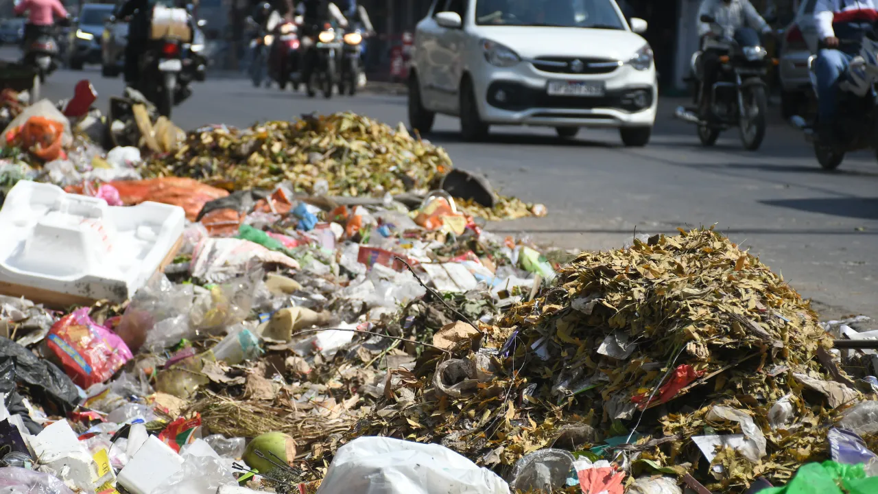 Untitled design (71)