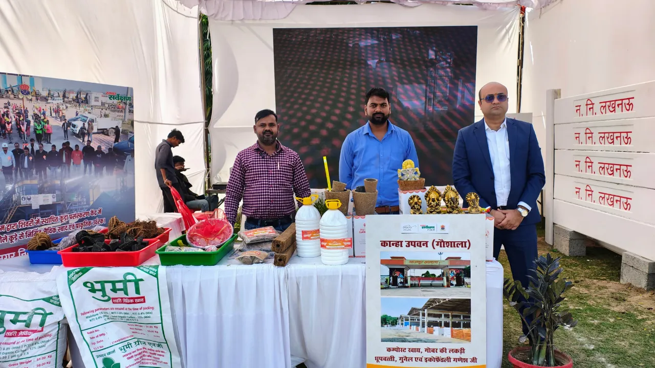 Untitled design (72)