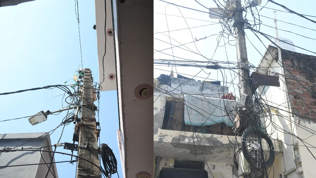 Untitled design (72)