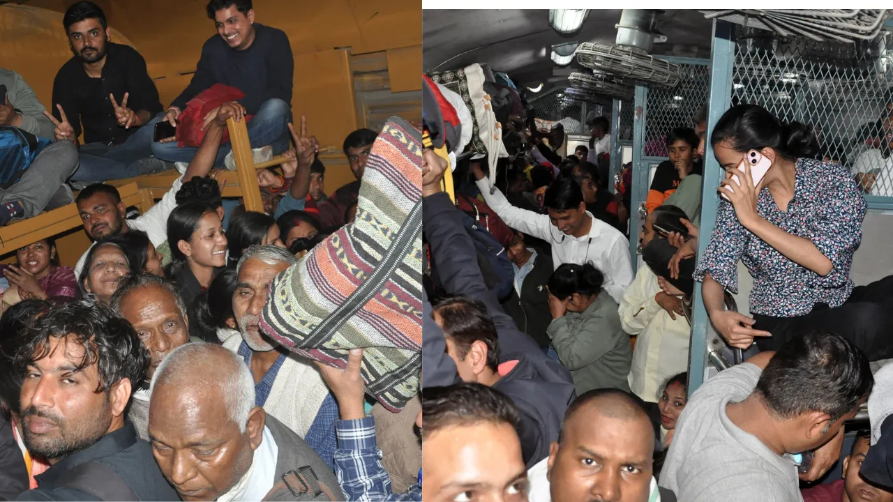 Untitled design (74)