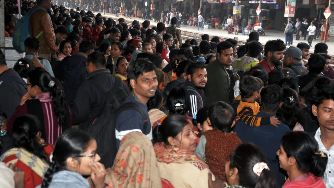 Untitled design (76)