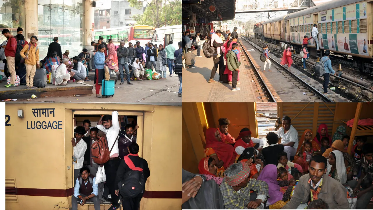 Untitled design (76)