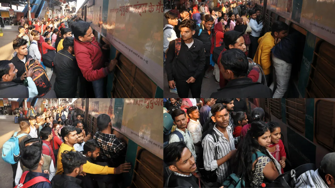 Untitled design (77)