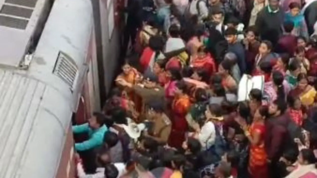 Untitled design (79)