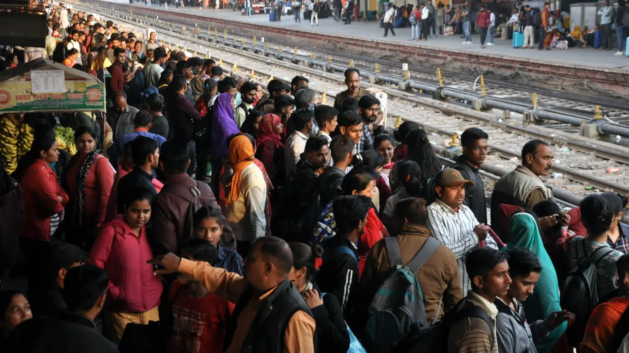 Untitled design (79)