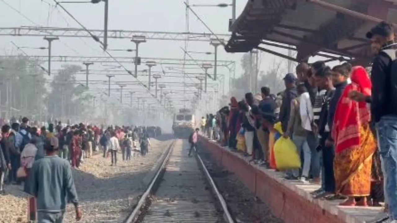 Untitled design (80)