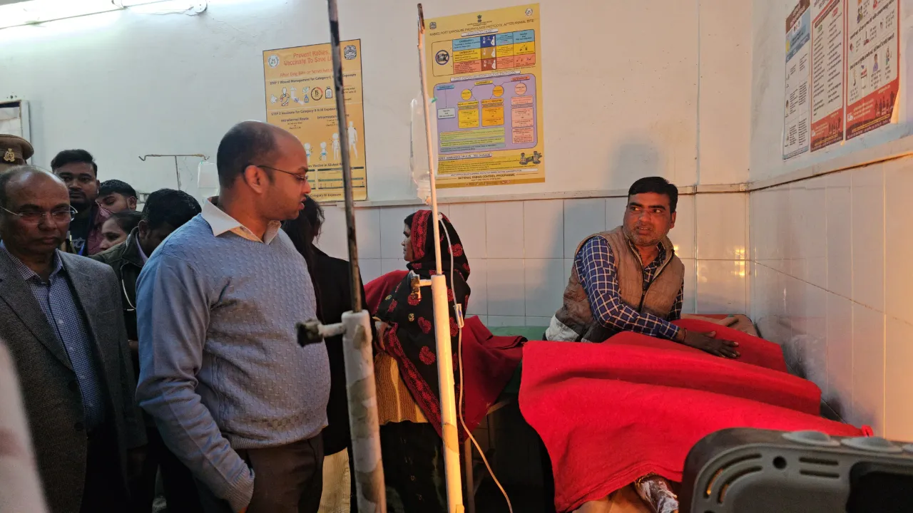 Untitled design (81)