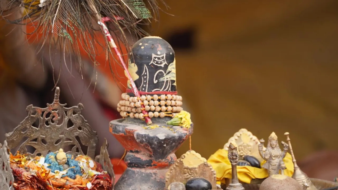 Untitled design - 2025-02-26T105319.108