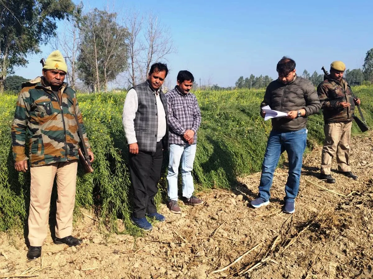 रामपुर: एसडीएम ने पकड़ी सवा तीन लाख रुपये के स्टांप की चोरी, मची खलबली 