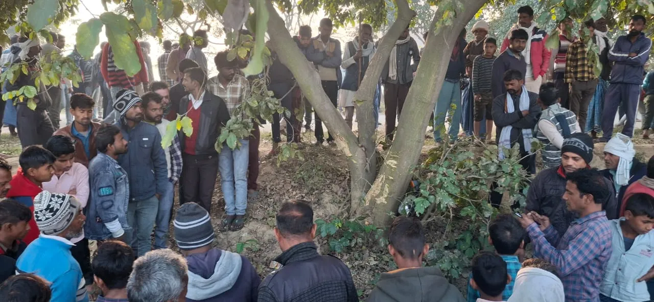बदायूं: पेड़ से टकराई बाइक, पल्लेदारी करने जा रहे दो युवकों की मौत