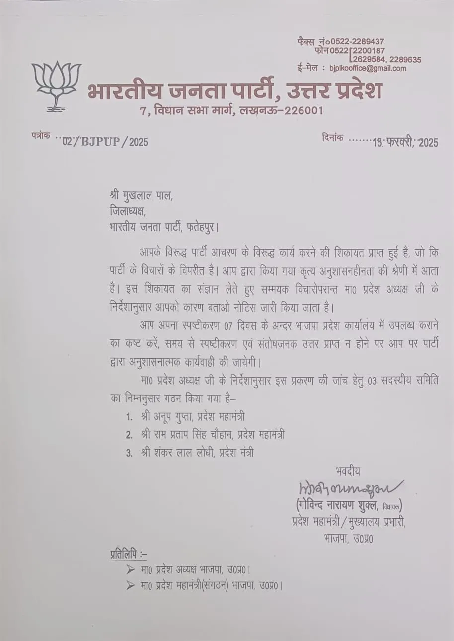 WhatsApp Image 2025-02-15 at 7.53.21 PM