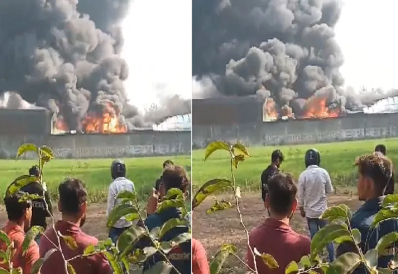 मुरादाबाद : पीवीसी पैनल फैक्ट्री में लगी भीषण आग, घंटों की कड़ी मशक्कत के बाद दमकल की गाड़ियों ने आग पर पाया काबू