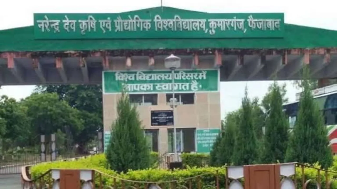 Ayodhya News :  राज्यपाल 13 को 48वें कुलपति सम्मेलन को करेंगी संबोधित