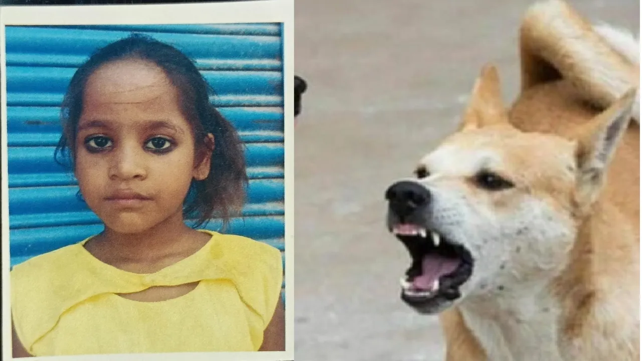 Bahraich News : आवारा कुत्तों के झुंड ने आठ साल की बच्ची को नोंचकर मार डाल