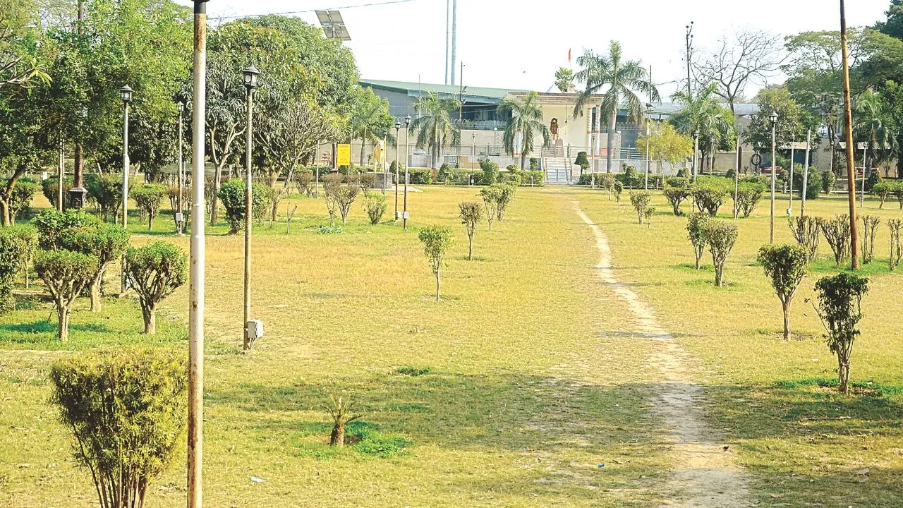 Kanpur में मियावाकी पद्धति से बनेंगे तीन नए फॉरेस्ट, इतने करोड़ से बढ़ेगी हरियाली, शासन ने स्वीकृत किया बजट 