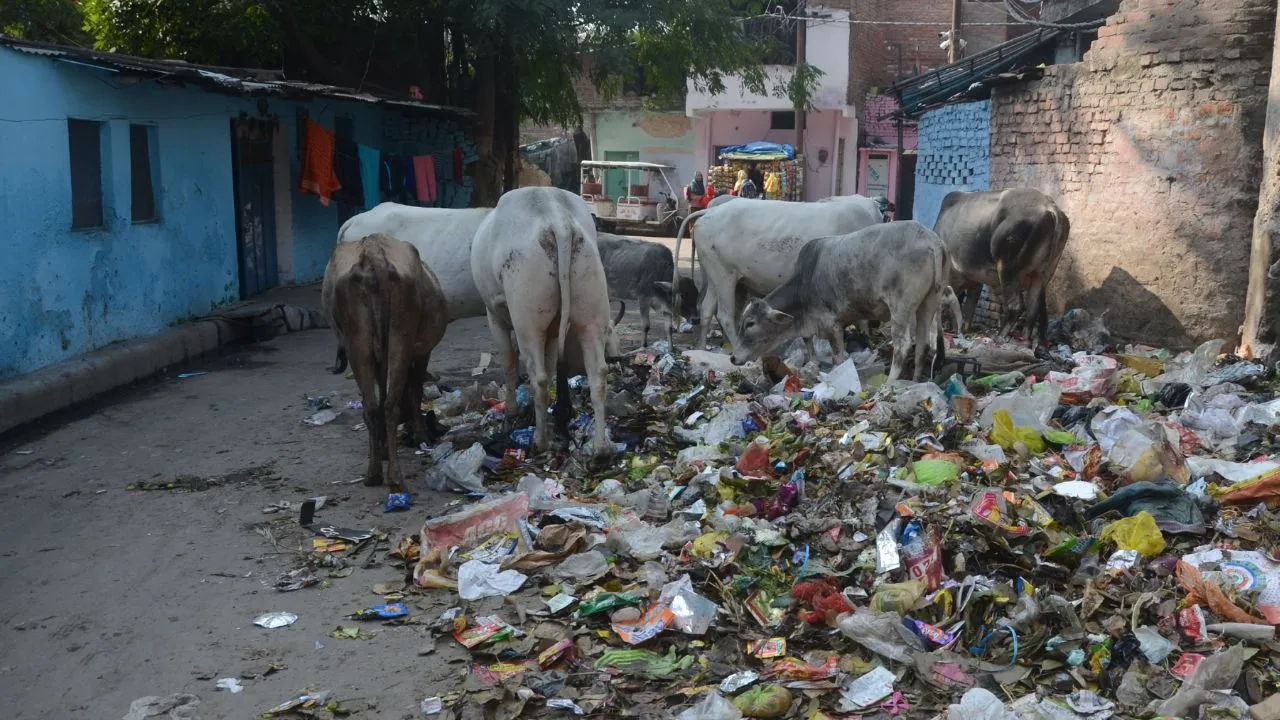 सफाई नायक अब दो पालियों में करेंगे ड्यूटी: कानपुर में बढ़ती गंदगी को देखते हुए लिया गया फैसला, ये है शिफ्ट का समय...