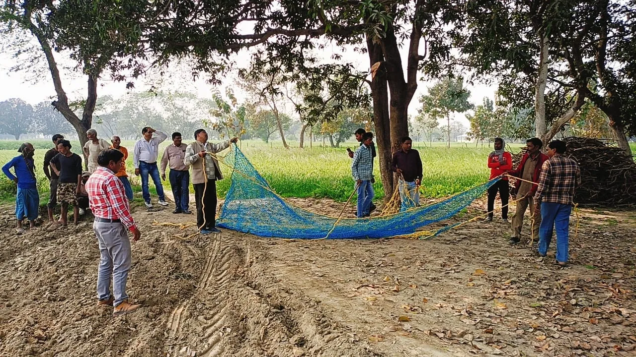 बहराइच : जाल लगाकर आवारा कुत्तों को पकड़ने में जुटी टीमें