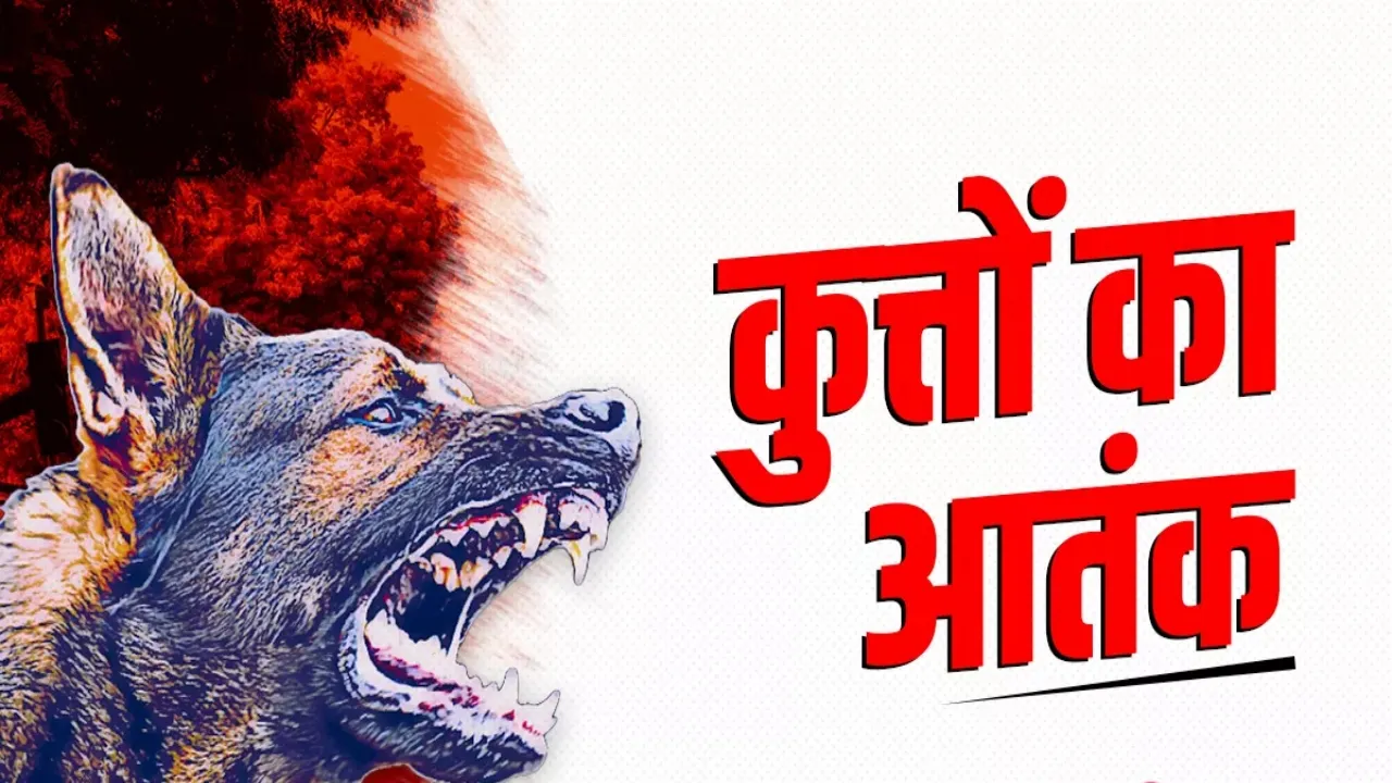 कुत्तों के हमले से दो दर्जन लोग जख्मी : मृत बालिका के परिजनों को दी गई आर्थिक मदद