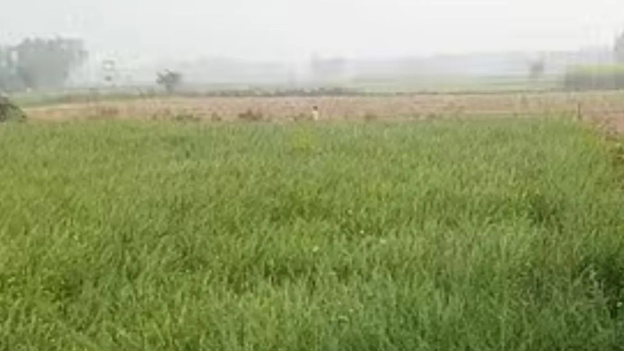 Fatehpur: भूमाफियाओं पर जमीन का बैनामा कराकर भाई की हत्या का आरोप, पीड़ित ने डीएम से की शिकायत, लगाई न्याय की गुहार