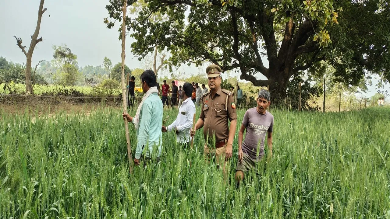 Barabanki News : शेषपुर गांव में तेंदुए की दहशत, वन विभाग ने शुरू की कॉम्बिंग