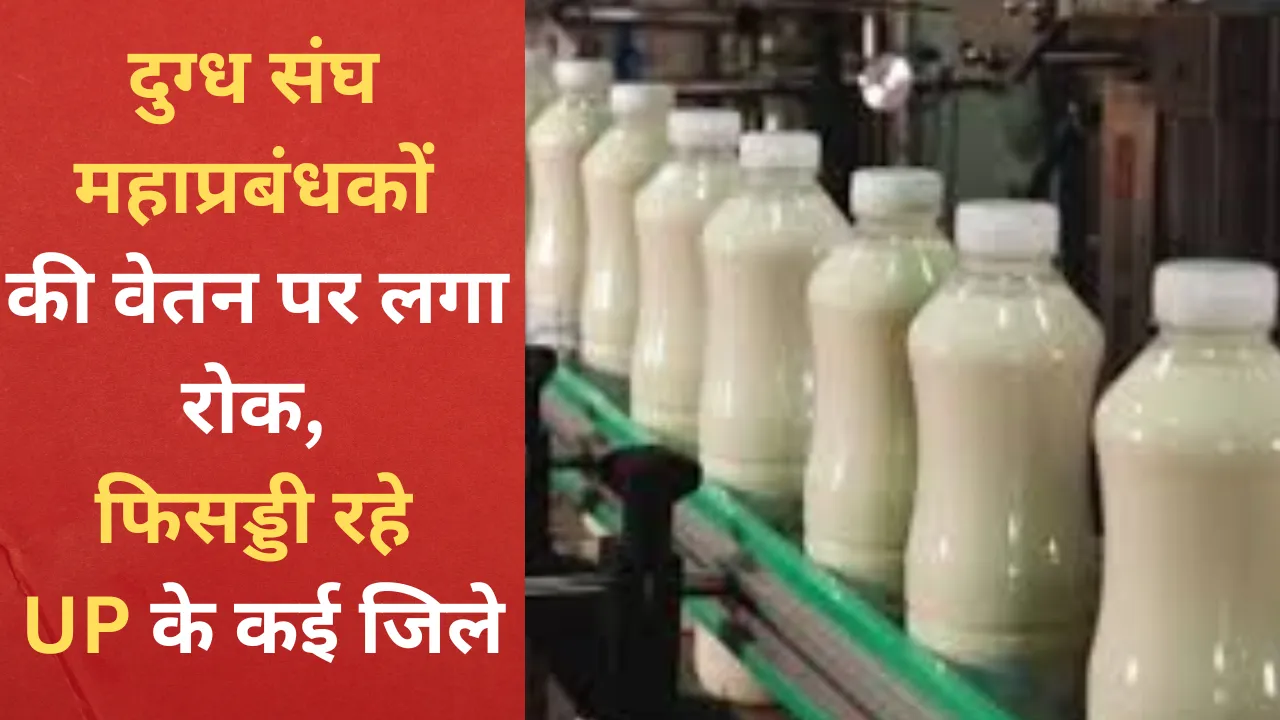 दुग्ध संघ महाप्रबंधकों की वेतन पर लगा रोक, फिसड्डी रहे यूपी के कई जिले, जानें वजह