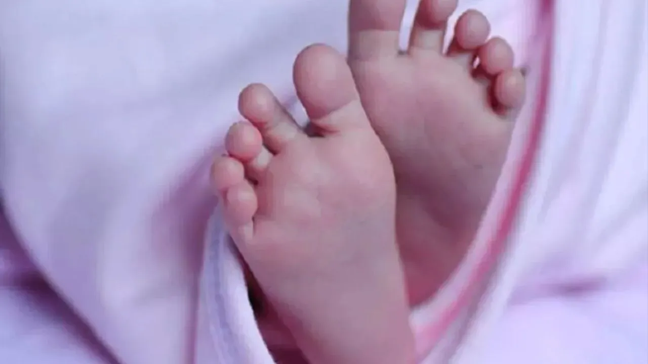 Kanpur में हाईवे किनारे मिला नवजात का शव: कपडे़ में लिपटा मिला, वाहन से फेंकने की आशंका, ग्रामीणों में मचा हड़कंप